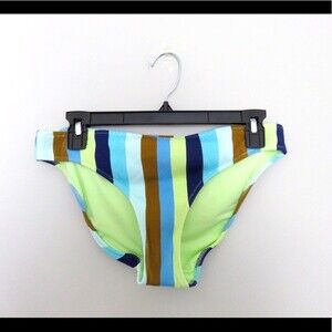 Aerie Green Blue Brown Stripe Bikini Swim Bottoms New Hipster Large Colorful